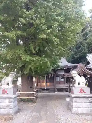 印内八坂神社の本殿・本堂