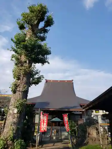 吉祥院の本殿・本堂