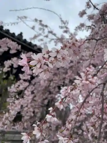 吉祥寺(東京都)
