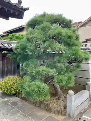 大行寺(東京都)