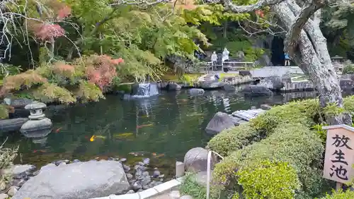 長谷寺(神奈川県)