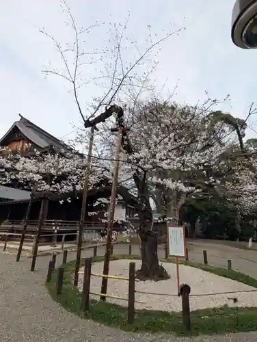 靖國神社(東京都)