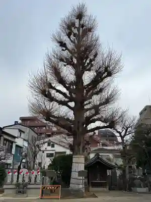 福王山  慈眼寺(東京都)