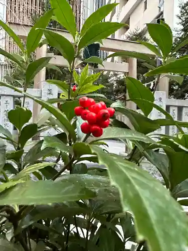 薬祖神社の自然