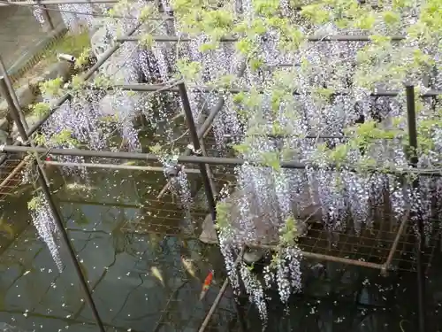 長泉寺の景色