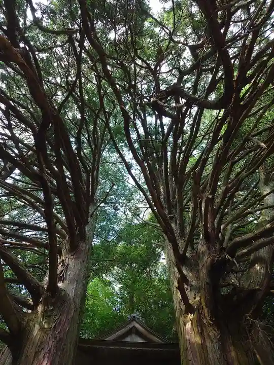 須佐之男神社(愛知県)