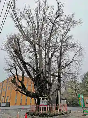 津島神社の周辺