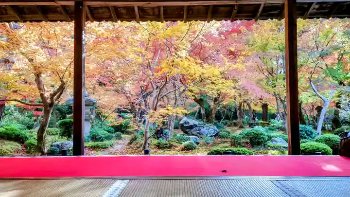 圓光寺(京都府)