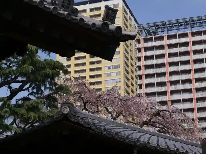 本行寺の芸術