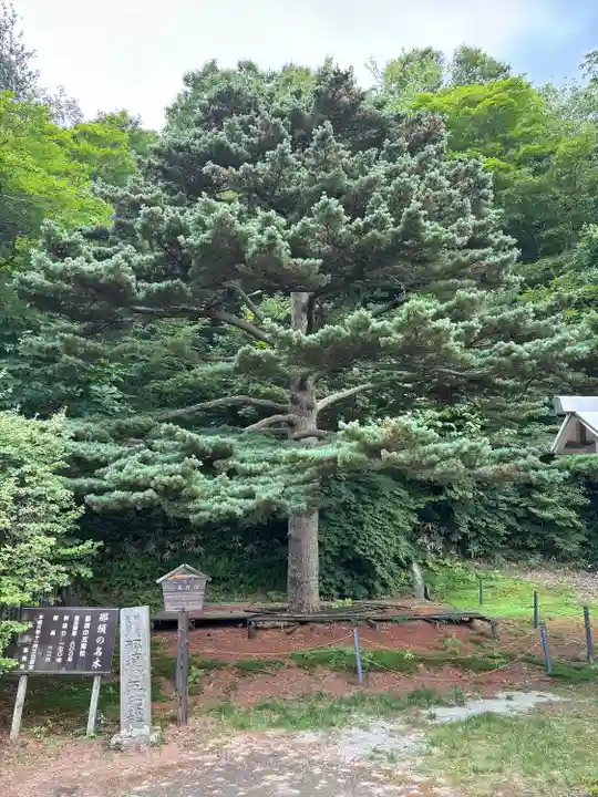 那須温泉神社(栃木県)