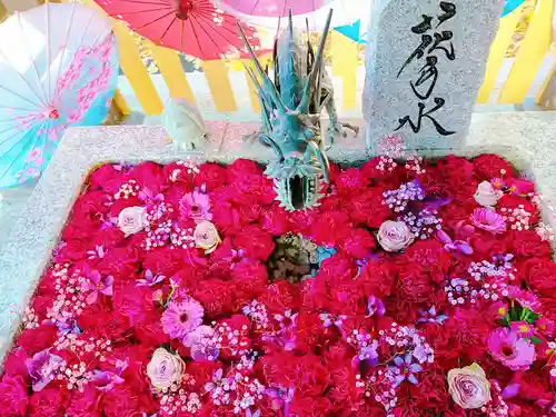 札幌諏訪神社の手水舎