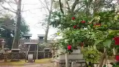 若宮神明社の自然