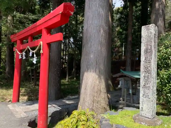 須山浅間神社の鳥居