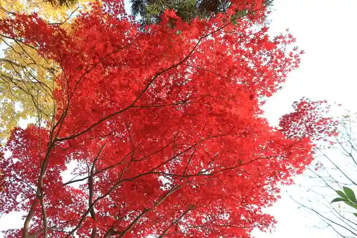 豊景神社の自然