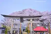 栗谷須賀神社(神奈川県)