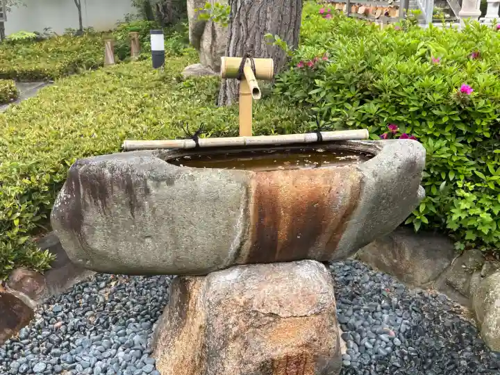 伊和志津神社の{uncategorized: "未分類", other: "その他", undefined: "問題あり", building: "その他建物", grave: "お墓", sacred_gate: "鳥居", guardian: "狛犬", statue: "像", buddha: "仏像", history: "歴史", nature: "自然", garden: "庭園", animal: "動物", pagoda: "塔", temizu: "手水舎", mountain_gate: "山門・神門", sanctuary: "本殿・本堂", subordinate: "末社・摂社", art: "芸術", scenery: "景色", jizo: "地蔵", ema: "絵馬", goshuin: "御朱印", omikuji: "おみくじ", items: "授与品その他", amulet: "お守り", goshuincho: "御朱印帳", eats: "食事", festival: "お祭り", votive_dance: "神楽", shichigosan: "七五三参", wedding: "結婚式", experience: "体験その他", initially: "初詣", around: "周辺", anti_infection: "感染症対策"}