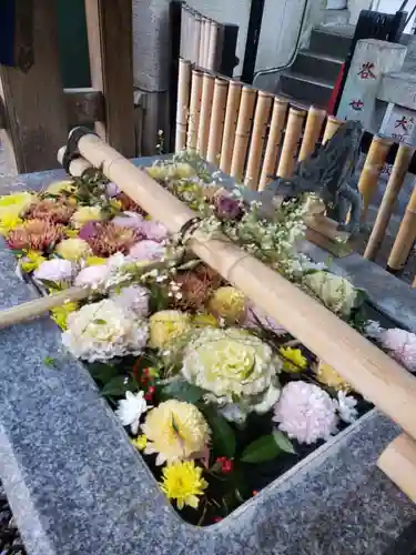 高円寺氷川神社の手水