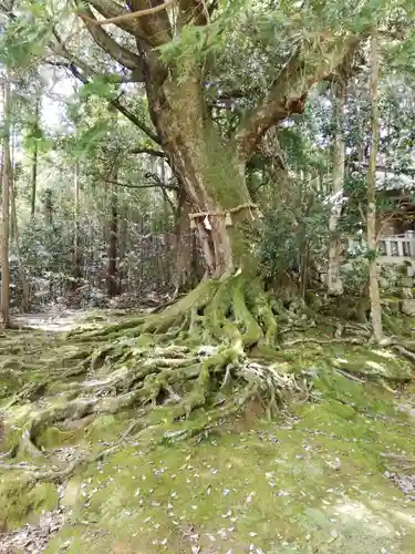 赤猪岩神社の自然