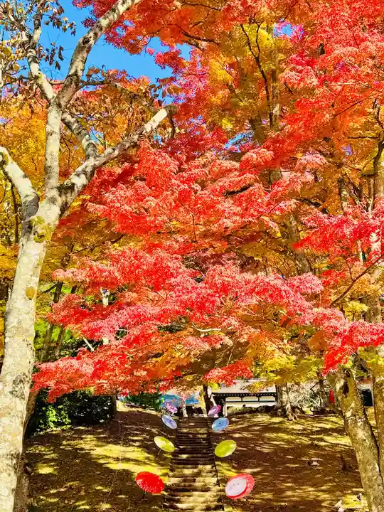 土津神社|こどもと出世の神さま(福島県)