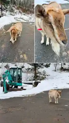 湯倉神社の{uncategorized: "未分類", other: "その他", undefined: "問題あり", building: "その他建物", grave: "お墓", sacred_gate: "鳥居", guardian: "狛犬", statue: "像", buddha: "仏像", history: "歴史", nature: "自然", garden: "庭園", animal: "動物", pagoda: "塔", temizu: "手水舎", mountain_gate: "山門・神門", sanctuary: "本殿・本堂", subordinate: "末社・摂社", art: "芸術", scenery: "景色", jizo: "地蔵", ema: "絵馬", goshuin: "御朱印", omikuji: "おみくじ", items: "授与品その他", amulet: "お守り", goshuincho: "御朱印帳", eats: "食事", festival: "お祭り", votive_dance: "神楽", shichigosan: "七五三参", wedding: "結婚式", experience: "体験その他", initially: "初詣", around: "周辺", anti_infection: "感染症対策"}
