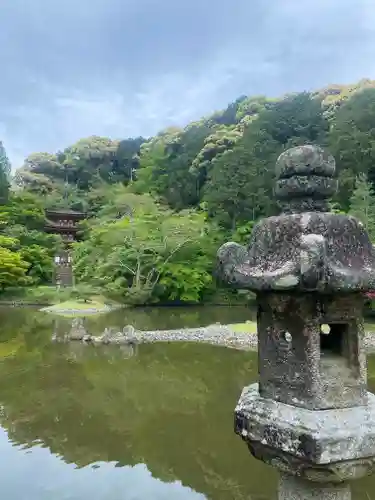 浄瑠璃寺(京都府)