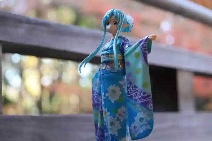 隨心院(随心院)(京都府)