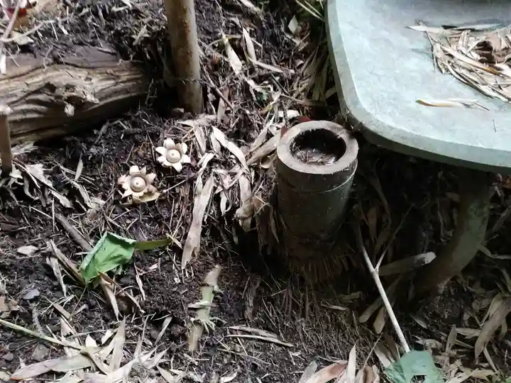 愛宕神社の自然