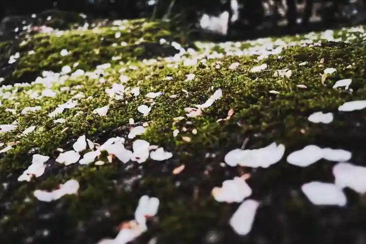 岐阜護國神社(岐阜県)