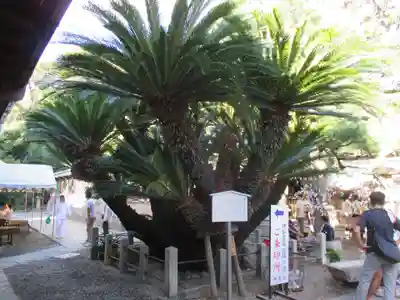 御香宮神社の自然