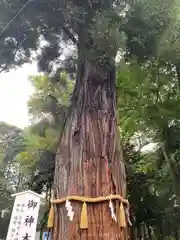 息栖神社(茨城県)