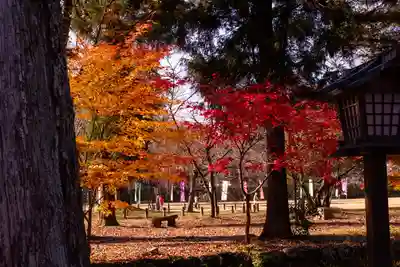 賀茂別雷神社（上賀茂神社）(京都府)