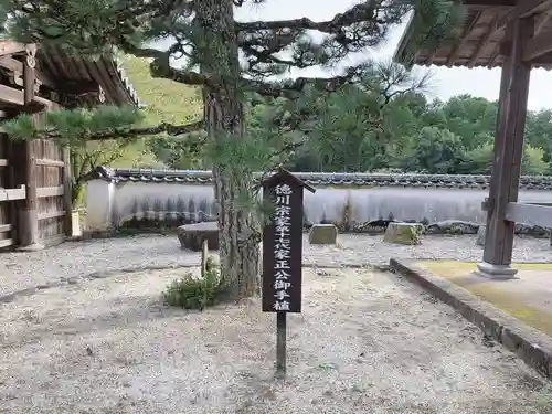 高月院の庭園