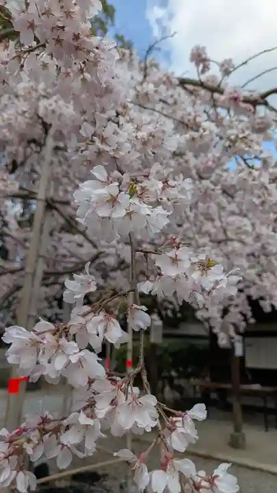 水無瀬神宮(大阪府)