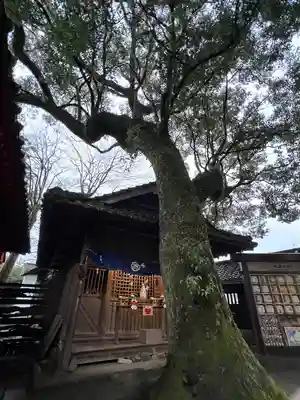 青井阿蘇神社(熊本県)