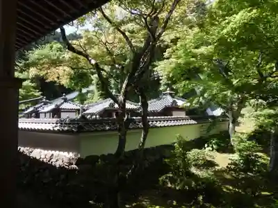 清滝寺徳源院(滋賀県)