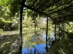 富士山本宮浅間大社(静岡県)