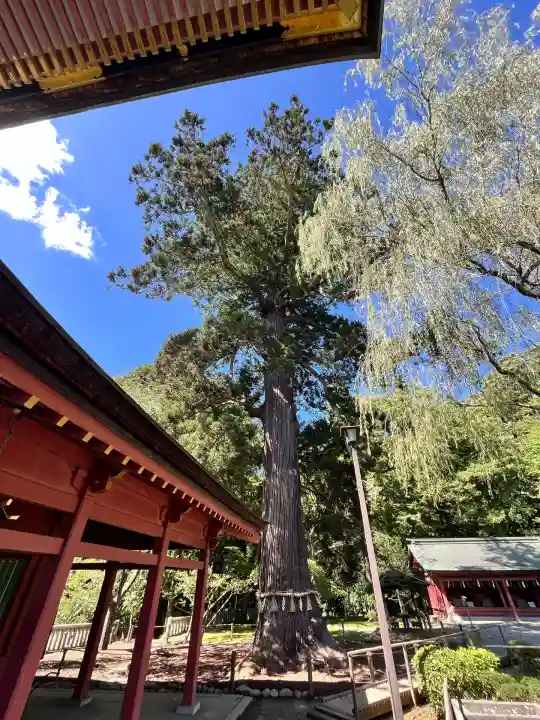 志波彦神社・鹽竈神社(宮城県)