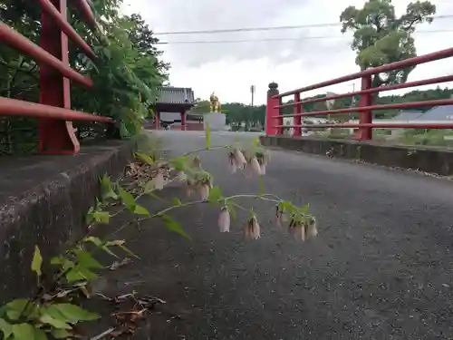 長福寿寺の自然
