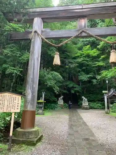 戸隠神社宝光社の鳥居