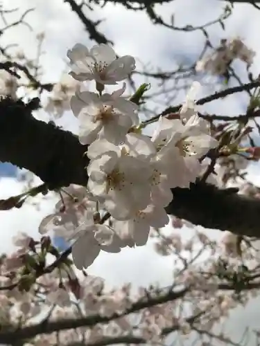 金剛宝寺（紀三井寺）の自然