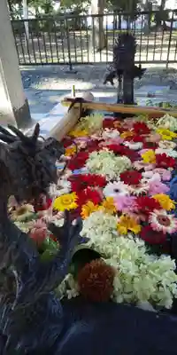 美幌神社の手水舎