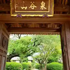 大円寺の建物その他