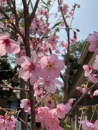 富部神社(愛知県)
