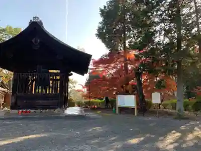 園城寺（三井寺）のその他建物
