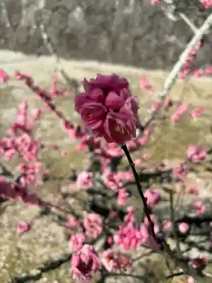 香椎宮(福岡県)