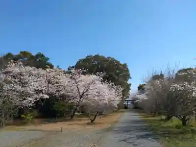 天伯山神社(愛知県)