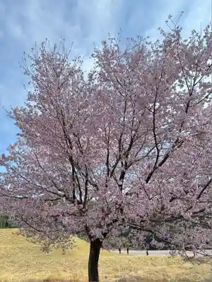 熊野本宮大社(和歌山県)