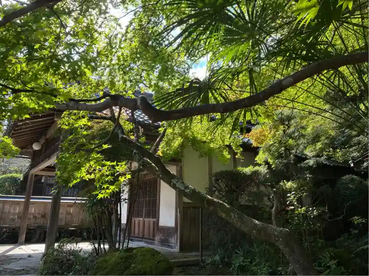 勝持寺(花の寺)(京都府)
