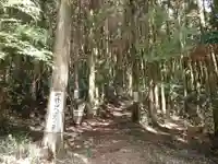 大元神社(宇佐神宮奥宮)の自然