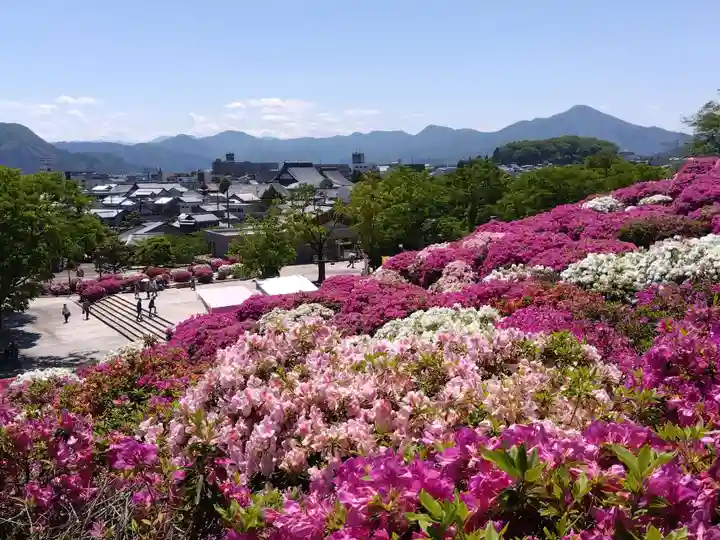 誠照寺(福井県)